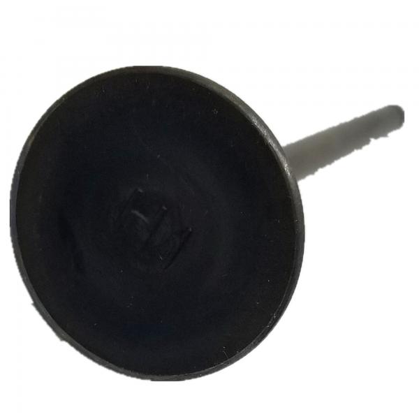 China 8 Cyl Stainless Steel Engine Valve RD TC Intake & Exhaust Valve 13201-97001 13202-97004 supplier