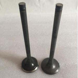 China Intake And Exhaust Valve For GA161 For Nissan Engine Vavle 13201-84A00 13202-84A00 supplier