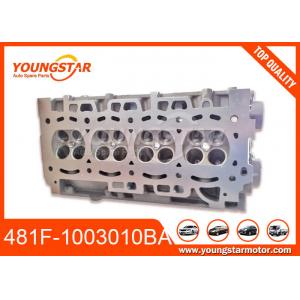 China 481F-1003010BA Engine Cylinder MVM 530 For Chery supplier