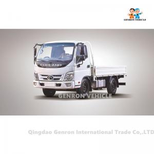 China Brand Forland new China MINI Light cargo truck 4*2 type van cargo truck for sale in Brazil supplier
