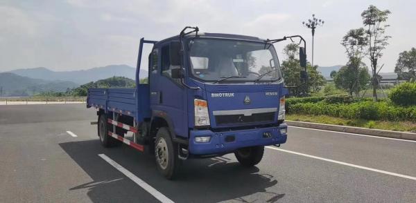 China HOWO Brand New Cargo Truck 10 Ton RHD Transport Vehicle Price supplier